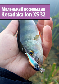 Маленький косильщик. Обзор Kosadaka Ion XS 32