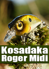 Обзор воблера Kosadaka Roger Midi