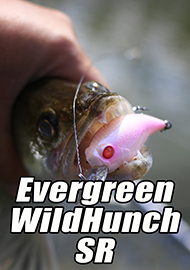 Обзор: Кренк из Японии для российской рыбы. Обзор Evergreen WildHunch SR