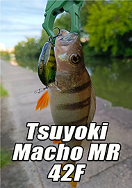 Обзор: Крэнк в большом городе: Обзор Tsuyoki Macho MR 42F