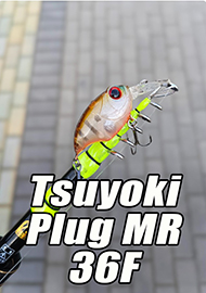 Обзор: Крэнк в большом городе: Обзор Tsuyoki Plug MR 36F