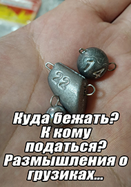 Статьи: Куда бежать? К кому податься? Размышления о грузиках…