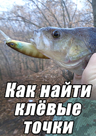 Статьи: Как найти клёвые точки.