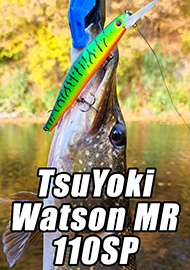 Обзор: Легенды осени. Обзор TsuYoki Watson MR 110SP