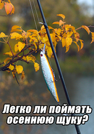 Статьи: Легко ли поймать осеннюю щуку?