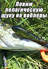 Статьи: Ловим пелагическую щуку на воблеры