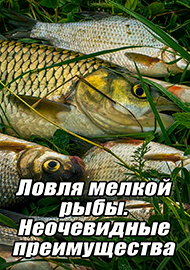 Статьи: Ловля мелкой рыбы. Неочевидные преимущества.