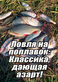 Статьи: Ловля на поплавок: Классика, дающая азарт!