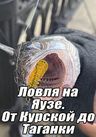 Статьи: Ловля на Яузе. От Курской до Таганки.