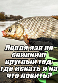 Статьи: Ловля язя на спиннинг круглый год: где искать и на что ловить?