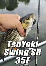 Обзор: Любимый "головастик". Обзор кренка TsuYoki Swing SR 35F