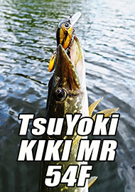 Обзор: Маленький гигант удачной рыбалки. Обзор TsuYoki KIKI MR 54F