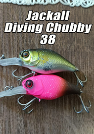 Обзор: Маленький «Jackall Diving Chubby 38» для всех Chub-ов и не только!