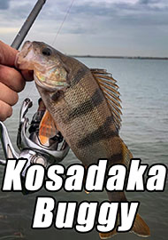 Обзор: Миниатюрный малыш Kosadaka Buggy 55. Обзор