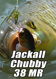 Обзор: Обзор Jackall Chubby 38 MR – легенда средней глубины!