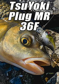 Обзор: Мы любим PLUGи-вуги! Обзор TsuYoki Plug MR 36F