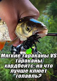 Статьи: Мягкие тараканы VS тараканы хардбейтс: на что лучше клюет голавль?