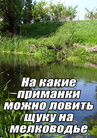 Статьи: На какие приманки можно  ловить  щуку на мелководье