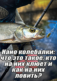 Статьи: Нано колебалки: что это такое, кто на них клюет и как на них ловить?