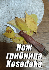 Обзор: Не рыбалкой единой. Обзор ножа грибника со щеткой Kosadaka складной.
