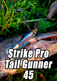 Обзор: Недорого и практично. Обзор воблера Strike Pro Tail Gunner 45