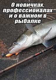 Статьи: О новичках, профессионалах и о важном в рыбалке