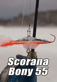 Обзор: Обзор балансира Scorana Bony 55