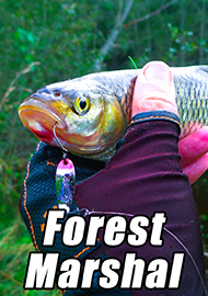 Обзор: Обзор блесен Forest Marshal. Уловистая японская миниатюра