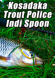 Обзор: Обзор блесен Kosadaka Trout Police Indi Spoon. Универсальное «железо»