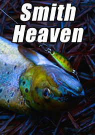 Обзор: Обзор блесен Smith Heaven. Силы небесные