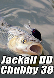 Обзор: Обзор Jackall DD Chubby 38 – а что у нас там в самом низу?
