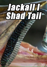 Обзор: Обзор Jackall I Shad Tail – приманка с сюрпризом!