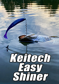 Обзор: パーフェクション Обзор «Keitech Easy Shiner»