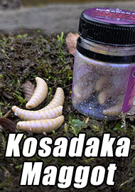Обзор: Обзор Kosadaka Maggot– лакомство для хариуса