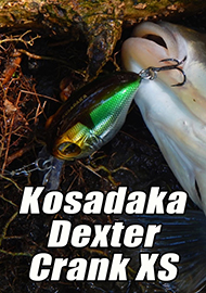 Обзор: Обзор Kosadaka Dexter Crank XS – упитанный красавец в самом расцвете сил