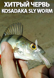 Хитрый червь Kosadaka Sly worm. Обзор