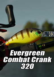 Обзор: Обзор кренка Evergreen Combat Crank 320