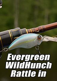 Обзор: Обзор кренка Evergreen WildHunch Rattle in