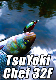 Обзор: Обзор крэнка TsuYoki Chef 32F. Помощник Шефа