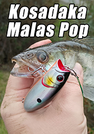 Обзор: Обзор подповерхностного воблера Kosadaka Malas Pop