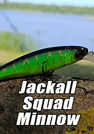 Обзор: Обзор прекрасного работяги Squad Minnow 65 SP от Jackall
