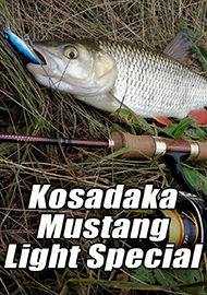 Обзор: Обзор спиннинга Kosadaka Mustang Light Special 1,68м (2-7г). Бюджетный коротыш.