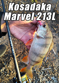 Обзор: Обзор спиннинга Kosadaka Marvel 213L