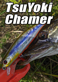 Обзор: Обзор TsuYoki Chamer 90F. Безупречный мелководник.