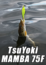 Обзор: Обзор уокера TsuYoki MAMBA 75F.