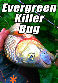Обзор: Обзор воблера Evergreen Killer Bug. Жучок не простачок