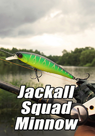 Обзор: Обзор воблера фирмы Jackall - Squad Minnow 80 SP