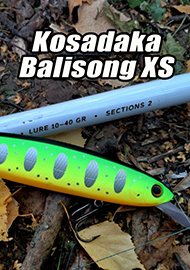 Обзор: Осенний охотник. Обзор Воблера Kosadaka Balisong XS