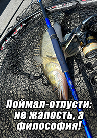 Статьи: Поймал-отпусти (Catch&Release): Не жалость, а философия!