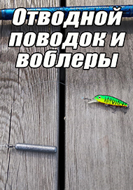 Статьи: Отводной поводок и воблеры - рабочий тандем по капризному хищнику